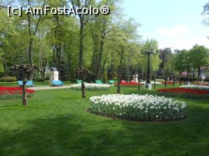 [P03] Vaslui - Parcul Copou primavara. » foto by iulianic
 - 
<span class="allrVoted glyphicon glyphicon-heart hidden" id="av1296833"></span>
<a class="m-l-10 hidden" id="sv1296833" onclick="voting_Foto_DelVot(,1296833,5873)" role="button">șterge vot <span class="glyphicon glyphicon-remove"></span></a>
<a id="v91296833" class=" c-red"  onclick="voting_Foto_SetVot(1296833)" role="button"><span class="glyphicon glyphicon-heart-empty"></span> <b>LIKE</b> = Votează poza</a> <img class="hidden"  id="f1296833W9" src="/imagini/loader.gif" border="0" /><span class="AjErrMes hidden" id="e1296833ErM"></span>