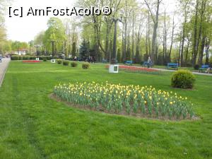 [P04] Vaslui - Parcul Copou primavara. » foto by iulianic
 - 
<span class="allrVoted glyphicon glyphicon-heart hidden" id="av1296834"></span>
<a class="m-l-10 hidden" id="sv1296834" onclick="voting_Foto_DelVot(,1296834,5873)" role="button">șterge vot <span class="glyphicon glyphicon-remove"></span></a>
<a id="v91296834" class=" c-red"  onclick="voting_Foto_SetVot(1296834)" role="button"><span class="glyphicon glyphicon-heart-empty"></span> <b>LIKE</b> = Votează poza</a> <img class="hidden"  id="f1296834W9" src="/imagini/loader.gif" border="0" /><span class="AjErrMes hidden" id="e1296834ErM"></span>