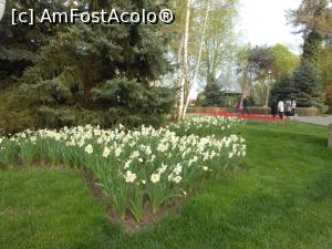 [P06] Vaslui - Parcul Copou primavara. » foto by iulianic
 - 
<span class="allrVoted glyphicon glyphicon-heart hidden" id="av1296836"></span>
<a class="m-l-10 hidden" id="sv1296836" onclick="voting_Foto_DelVot(,1296836,5873)" role="button">șterge vot <span class="glyphicon glyphicon-remove"></span></a>
<a id="v91296836" class=" c-red"  onclick="voting_Foto_SetVot(1296836)" role="button"><span class="glyphicon glyphicon-heart-empty"></span> <b>LIKE</b> = Votează poza</a> <img class="hidden"  id="f1296836W9" src="/imagini/loader.gif" border="0" /><span class="AjErrMes hidden" id="e1296836ErM"></span>