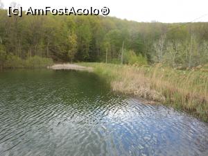 [P15] Agrement in preajma Vasluiului - Lacul Gadeasa. » foto by iulianic
 - 
<span class="allrVoted glyphicon glyphicon-heart hidden" id="av1301935"></span>
<a class="m-l-10 hidden" id="sv1301935" onclick="voting_Foto_DelVot(,1301935,5873)" role="button">șterge vot <span class="glyphicon glyphicon-remove"></span></a>
<a id="v91301935" class=" c-red"  onclick="voting_Foto_SetVot(1301935)" role="button"><span class="glyphicon glyphicon-heart-empty"></span> <b>LIKE</b> = Votează poza</a> <img class="hidden"  id="f1301935W9" src="/imagini/loader.gif" border="0" /><span class="AjErrMes hidden" id="e1301935ErM"></span>