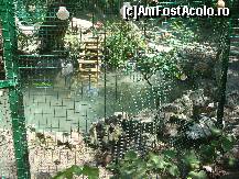 [P18] [Rest. INSULA] Ratustele au casuta lor separata » foto by pink_gabi*
 - 
<span class="allrVoted glyphicon glyphicon-heart hidden" id="av82110"></span>
<a class="m-l-10 hidden" id="sv82110" onclick="voting_Foto_DelVot(,82110,5877)" role="button">șterge vot <span class="glyphicon glyphicon-remove"></span></a>
<a id="v982110" class=" c-red"  onclick="voting_Foto_SetVot(82110)" role="button"><span class="glyphicon glyphicon-heart-empty"></span> <b>LIKE</b> = Votează poza</a> <img class="hidden"  id="f82110W9" src="/imagini/loader.gif" border="0" /><span class="AjErrMes hidden" id="e82110ErM"></span>
