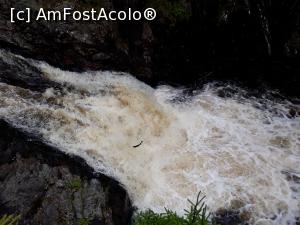 [P09] Cascada Shin pe care somonii o sar in amonte pentru a urca sus pe rau, ca sa-si depuna icrele. Se vede si somonul. A fost un spectacol extraordinar.  » foto by Aurici
 - 
<span class="allrVoted glyphicon glyphicon-heart hidden" id="av930147"></span>
<a class="m-l-10 hidden" id="sv930147" onclick="voting_Foto_DelVot(,930147,5887)" role="button">șterge vot <span class="glyphicon glyphicon-remove"></span></a>
<a id="v9930147" class=" c-red"  onclick="voting_Foto_SetVot(930147)" role="button"><span class="glyphicon glyphicon-heart-empty"></span> <b>LIKE</b> = Votează poza</a> <img class="hidden"  id="f930147W9" src="/imagini/loader.gif" border="0" /><span class="AjErrMes hidden" id="e930147ErM"></span>