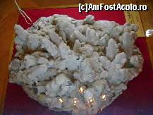 [P13] flori de mina » foto by sniga
 - 
<span class="allrVoted glyphicon glyphicon-heart hidden" id="av319332"></span>
<a class="m-l-10 hidden" id="sv319332" onclick="voting_Foto_DelVot(,319332,5895)" role="button">șterge vot <span class="glyphicon glyphicon-remove"></span></a>
<a id="v9319332" class=" c-red"  onclick="voting_Foto_SetVot(319332)" role="button"><span class="glyphicon glyphicon-heart-empty"></span> <b>LIKE</b> = Votează poza</a> <img class="hidden"  id="f319332W9" src="/imagini/loader.gif" border="0" /><span class="AjErrMes hidden" id="e319332ErM"></span>