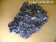 [P14]  -- <small>// FĂRĂ DESCRIERE</small> » foto by sniga
 - 
<span class="allrVoted glyphicon glyphicon-heart hidden" id="av319333"></span>
<a class="m-l-10 hidden" id="sv319333" onclick="voting_Foto_DelVot(,319333,5895)" role="button">șterge vot <span class="glyphicon glyphicon-remove"></span></a>
<a id="v9319333" class=" c-red"  onclick="voting_Foto_SetVot(319333)" role="button"><span class="glyphicon glyphicon-heart-empty"></span> <b>LIKE</b> = Votează poza</a> <img class="hidden"  id="f319333W9" src="/imagini/loader.gif" border="0" /><span class="AjErrMes hidden" id="e319333ErM"></span>