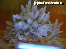 [P15]  -- <small>// FĂRĂ DESCRIERE</small> » foto by sniga
 - 
<span class="allrVoted glyphicon glyphicon-heart hidden" id="av319334"></span>
<a class="m-l-10 hidden" id="sv319334" onclick="voting_Foto_DelVot(,319334,5895)" role="button">șterge vot <span class="glyphicon glyphicon-remove"></span></a>
<a id="v9319334" class=" c-red"  onclick="voting_Foto_SetVot(319334)" role="button"><span class="glyphicon glyphicon-heart-empty"></span> <b>LIKE</b> = Votează poza</a> <img class="hidden"  id="f319334W9" src="/imagini/loader.gif" border="0" /><span class="AjErrMes hidden" id="e319334ErM"></span>