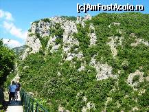 [P49] catre cascada lui Zeus » foto by lala-cri
 - 
<span class="allrVoted glyphicon glyphicon-heart hidden" id="av96443"></span>
<a class="m-l-10 hidden" id="sv96443" onclick="voting_Foto_DelVot(,96443,5905)" role="button">șterge vot <span class="glyphicon glyphicon-remove"></span></a>
<a id="v996443" class=" c-red"  onclick="voting_Foto_SetVot(96443)" role="button"><span class="glyphicon glyphicon-heart-empty"></span> <b>LIKE</b> = Votează poza</a> <img class="hidden"  id="f96443W9" src="/imagini/loader.gif" border="0" /><span class="AjErrMes hidden" id="e96443ErM"></span>