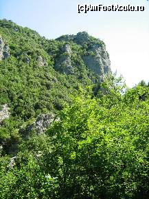 [P55]  -- <small>// FĂRĂ DESCRIERE</small> » foto by lala-cri
 - 
<span class="allrVoted glyphicon glyphicon-heart hidden" id="av96449"></span>
<a class="m-l-10 hidden" id="sv96449" onclick="voting_Foto_DelVot(,96449,5905)" role="button">șterge vot <span class="glyphicon glyphicon-remove"></span></a>
<a id="v996449" class=" c-red"  onclick="voting_Foto_SetVot(96449)" role="button"><span class="glyphicon glyphicon-heart-empty"></span> <b>LIKE</b> = Votează poza</a> <img class="hidden"  id="f96449W9" src="/imagini/loader.gif" border="0" /><span class="AjErrMes hidden" id="e96449ErM"></span>