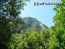 [P58]  -- <small>// FĂRĂ DESCRIERE</small> » foto by lala-cri
 - 
<span class="allrVoted glyphicon glyphicon-heart hidden" id="av96452"></span>
<a class="m-l-10 hidden" id="sv96452" onclick="voting_Foto_DelVot(,96452,5905)" role="button">șterge vot <span class="glyphicon glyphicon-remove"></span></a>
<a id="v996452" class=" c-red"  onclick="voting_Foto_SetVot(96452)" role="button"><span class="glyphicon glyphicon-heart-empty"></span> <b>LIKE</b> = Votează poza</a> <img class="hidden"  id="f96452W9" src="/imagini/loader.gif" border="0" /><span class="AjErrMes hidden" id="e96452ErM"></span>