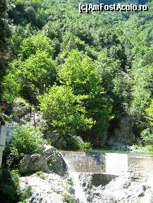 [P65]  -- <small>// FĂRĂ DESCRIERE</small> » foto by lala-cri
 - 
<span class="allrVoted glyphicon glyphicon-heart hidden" id="av96459"></span>
<a class="m-l-10 hidden" id="sv96459" onclick="voting_Foto_DelVot(,96459,5905)" role="button">șterge vot <span class="glyphicon glyphicon-remove"></span></a>
<a id="v996459" class=" c-red"  onclick="voting_Foto_SetVot(96459)" role="button"><span class="glyphicon glyphicon-heart-empty"></span> <b>LIKE</b> = Votează poza</a> <img class="hidden"  id="f96459W9" src="/imagini/loader.gif" border="0" /><span class="AjErrMes hidden" id="e96459ErM"></span>