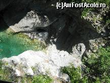 [P66]  -- <small>// FĂRĂ DESCRIERE</small> » foto by lala-cri
 - 
<span class="allrVoted glyphicon glyphicon-heart hidden" id="av96460"></span>
<a class="m-l-10 hidden" id="sv96460" onclick="voting_Foto_DelVot(,96460,5905)" role="button">șterge vot <span class="glyphicon glyphicon-remove"></span></a>
<a id="v996460" class=" c-red"  onclick="voting_Foto_SetVot(96460)" role="button"><span class="glyphicon glyphicon-heart-empty"></span> <b>LIKE</b> = Votează poza</a> <img class="hidden"  id="f96460W9" src="/imagini/loader.gif" border="0" /><span class="AjErrMes hidden" id="e96460ErM"></span>