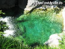 [P68]  -- <small>// FĂRĂ DESCRIERE</small> » foto by lala-cri
 - 
<span class="allrVoted glyphicon glyphicon-heart hidden" id="av96462"></span>
<a class="m-l-10 hidden" id="sv96462" onclick="voting_Foto_DelVot(,96462,5905)" role="button">șterge vot <span class="glyphicon glyphicon-remove"></span></a>
<a id="v996462" class=" c-red"  onclick="voting_Foto_SetVot(96462)" role="button"><span class="glyphicon glyphicon-heart-empty"></span> <b>LIKE</b> = Votează poza</a> <img class="hidden"  id="f96462W9" src="/imagini/loader.gif" border="0" /><span class="AjErrMes hidden" id="e96462ErM"></span>