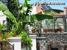 [P91]  -- <small>// FĂRĂ DESCRIERE</small> » foto by lala-cri
 - 
<span class="allrVoted glyphicon glyphicon-heart hidden" id="av96485"></span>
<a class="m-l-10 hidden" id="sv96485" onclick="voting_Foto_DelVot(,96485,5905)" role="button">șterge vot <span class="glyphicon glyphicon-remove"></span></a>
<a id="v996485" class=" c-red"  onclick="voting_Foto_SetVot(96485)" role="button"><span class="glyphicon glyphicon-heart-empty"></span> <b>LIKE</b> = Votează poza</a> <img class="hidden"  id="f96485W9" src="/imagini/loader.gif" border="0" /><span class="AjErrMes hidden" id="e96485ErM"></span>