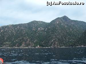 [P12]  -- <small>// FĂRĂ DESCRIERE</small> » foto by maria55 †
 - 
<span class="allrVoted glyphicon glyphicon-heart hidden" id="av500183"></span>
<a class="m-l-10 hidden" id="sv500183" onclick="voting_Foto_DelVot(,500183,5915)" role="button">șterge vot <span class="glyphicon glyphicon-remove"></span></a>
<a id="v9500183" class=" c-red"  onclick="voting_Foto_SetVot(500183)" role="button"><span class="glyphicon glyphicon-heart-empty"></span> <b>LIKE</b> = Votează poza</a> <img class="hidden"  id="f500183W9" src="/imagini/loader.gif" border="0" /><span class="AjErrMes hidden" id="e500183ErM"></span>