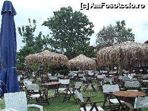 [P36] Alta terasa » foto by maria55 †
 - 
<span class="allrVoted glyphicon glyphicon-heart hidden" id="av500207"></span>
<a class="m-l-10 hidden" id="sv500207" onclick="voting_Foto_DelVot(,500207,5915)" role="button">șterge vot <span class="glyphicon glyphicon-remove"></span></a>
<a id="v9500207" class=" c-red"  onclick="voting_Foto_SetVot(500207)" role="button"><span class="glyphicon glyphicon-heart-empty"></span> <b>LIKE</b> = Votează poza</a> <img class="hidden"  id="f500207W9" src="/imagini/loader.gif" border="0" /><span class="AjErrMes hidden" id="e500207ErM"></span>