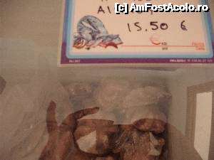 [P72] Caracatita » foto by maria55 †
 - 
<span class="allrVoted glyphicon glyphicon-heart hidden" id="av500243"></span>
<a class="m-l-10 hidden" id="sv500243" onclick="voting_Foto_DelVot(,500243,5915)" role="button">șterge vot <span class="glyphicon glyphicon-remove"></span></a>
<a id="v9500243" class=" c-red"  onclick="voting_Foto_SetVot(500243)" role="button"><span class="glyphicon glyphicon-heart-empty"></span> <b>LIKE</b> = Votează poza</a> <img class="hidden"  id="f500243W9" src="/imagini/loader.gif" border="0" /><span class="AjErrMes hidden" id="e500243ErM"></span>