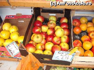 [P74] Merele... scumpe...  » foto by maria55 †
 - 
<span class="allrVoted glyphicon glyphicon-heart hidden" id="av500245"></span>
<a class="m-l-10 hidden" id="sv500245" onclick="voting_Foto_DelVot(,500245,5915)" role="button">șterge vot <span class="glyphicon glyphicon-remove"></span></a>
<a id="v9500245" class=" c-red"  onclick="voting_Foto_SetVot(500245)" role="button"><span class="glyphicon glyphicon-heart-empty"></span> <b>LIKE</b> = Votează poza</a> <img class="hidden"  id="f500245W9" src="/imagini/loader.gif" border="0" /><span class="AjErrMes hidden" id="e500245ErM"></span>