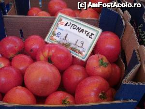 [P77] Rosiile... cele mai accesibile.  » foto by maria55 †
 - 
<span class="allrVoted glyphicon glyphicon-heart hidden" id="av500248"></span>
<a class="m-l-10 hidden" id="sv500248" onclick="voting_Foto_DelVot(,500248,5915)" role="button">șterge vot <span class="glyphicon glyphicon-remove"></span></a>
<a id="v9500248" class=" c-red"  onclick="voting_Foto_SetVot(500248)" role="button"><span class="glyphicon glyphicon-heart-empty"></span> <b>LIKE</b> = Votează poza</a> <img class="hidden"  id="f500248W9" src="/imagini/loader.gif" border="0" /><span class="AjErrMes hidden" id="e500248ErM"></span>