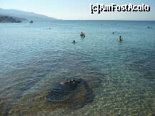 [P01]  -- <small>// FĂRĂ DESCRIERE</small> » foto by Catalin S.
 - 
<span class="allrVoted glyphicon glyphicon-heart hidden" id="av253249"></span>
<a class="m-l-10 hidden" id="sv253249" onclick="voting_Foto_DelVot(,253249,5915)" role="button">șterge vot <span class="glyphicon glyphicon-remove"></span></a>
<a id="v9253249" class=" c-red"  onclick="voting_Foto_SetVot(253249)" role="button"><span class="glyphicon glyphicon-heart-empty"></span> <b>LIKE</b> = Votează poza</a> <img class="hidden"  id="f253249W9" src="/imagini/loader.gif" border="0" /><span class="AjErrMes hidden" id="e253249ErM"></span>