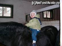 [P01] CEL MAI BLAND CALUT SI... FARA FRICA » foto by droniucm
 - 
<span class="allrVoted glyphicon glyphicon-heart hidden" id="av107792"></span>
<a class="m-l-10 hidden" id="sv107792" onclick="voting_Foto_DelVot(,107792,5918)" role="button">șterge vot <span class="glyphicon glyphicon-remove"></span></a>
<a id="v9107792" class=" c-red"  onclick="voting_Foto_SetVot(107792)" role="button"><span class="glyphicon glyphicon-heart-empty"></span> <b>LIKE</b> = Votează poza</a> <img class="hidden"  id="f107792W9" src="/imagini/loader.gif" border="0" /><span class="AjErrMes hidden" id="e107792ErM"></span>