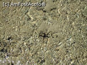 [P24] De ce a primit Hotelul numele Stella din Mare? » foto by Razeer2000
 - 
<span class="allrVoted glyphicon glyphicon-heart hidden" id="av1326983"></span>
<a class="m-l-10 hidden" id="sv1326983" onclick="voting_Foto_DelVot(,1326983,5940)" role="button">șterge vot <span class="glyphicon glyphicon-remove"></span></a>
<a id="v91326983" class=" c-red"  onclick="voting_Foto_SetVot(1326983)" role="button"><span class="glyphicon glyphicon-heart-empty"></span> <b>LIKE</b> = Votează poza</a> <img class="hidden"  id="f1326983W9" src="/imagini/loader.gif" border="0" /><span class="AjErrMes hidden" id="e1326983ErM"></span>