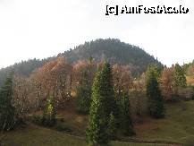 [P15] Peisaj de toamna in Apuseni. » foto by gabi_cluj
 - 
<span class="allrVoted glyphicon glyphicon-heart hidden" id="av199085"></span>
<a class="m-l-10 hidden" id="sv199085" onclick="voting_Foto_DelVot(,199085,5952)" role="button">șterge vot <span class="glyphicon glyphicon-remove"></span></a>
<a id="v9199085" class=" c-red"  onclick="voting_Foto_SetVot(199085)" role="button"><span class="glyphicon glyphicon-heart-empty"></span> <b>LIKE</b> = Votează poza</a> <img class="hidden"  id="f199085W9" src="/imagini/loader.gif" border="0" /><span class="AjErrMes hidden" id="e199085ErM"></span>