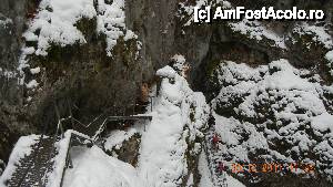 [P06] Scarile care duc la Ghetarul Scarisoara » foto by livv1973
 - 
<span class="allrVoted glyphicon glyphicon-heart hidden" id="av433932"></span>
<a class="m-l-10 hidden" id="sv433932" onclick="voting_Foto_DelVot(,433932,5952)" role="button">șterge vot <span class="glyphicon glyphicon-remove"></span></a>
<a id="v9433932" class=" c-red"  onclick="voting_Foto_SetVot(433932)" role="button"><span class="glyphicon glyphicon-heart-empty"></span> <b>LIKE</b> = Votează poza</a> <img class="hidden"  id="f433932W9" src="/imagini/loader.gif" border="0" /><span class="AjErrMes hidden" id="e433932ErM"></span>