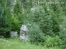 [P21] Rezervatia Naturala Cheile Sugaului - Munticelu - in rezervatie » foto by biancuta
 - 
<span class="allrVoted glyphicon glyphicon-heart hidden" id="av119776"></span>
<a class="m-l-10 hidden" id="sv119776" onclick="voting_Foto_DelVot(,119776,5962)" role="button">șterge vot <span class="glyphicon glyphicon-remove"></span></a>
<a id="v9119776" class=" c-red"  onclick="voting_Foto_SetVot(119776)" role="button"><span class="glyphicon glyphicon-heart-empty"></span> <b>LIKE</b> = Votează poza</a> <img class="hidden"  id="f119776W9" src="/imagini/loader.gif" border="0" /><span class="AjErrMes hidden" id="e119776ErM"></span>