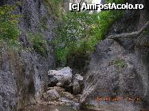 [P11] Pe aici încă se mai poate sări precum greierele, din piatră în piatră .... » foto by Qvadratvus
 - 
<span class="allrVoted glyphicon glyphicon-heart hidden" id="av262376"></span>
<a class="m-l-10 hidden" id="sv262376" onclick="voting_Foto_DelVot(,262376,5962)" role="button">șterge vot <span class="glyphicon glyphicon-remove"></span></a>
<a id="v9262376" class=" c-red"  onclick="voting_Foto_SetVot(262376)" role="button"><span class="glyphicon glyphicon-heart-empty"></span> <b>LIKE</b> = Votează poza</a> <img class="hidden"  id="f262376W9" src="/imagini/loader.gif" border="0" /><span class="AjErrMes hidden" id="e262376ErM"></span>
