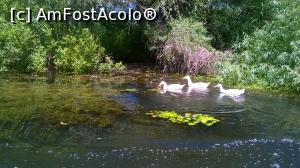 [P05] Rate vazute pe unul din canale cred ca eru domestice.  » foto by nelu73
 - 
<span class="allrVoted glyphicon glyphicon-heart hidden" id="av808052"></span>
<a class="m-l-10 hidden" id="sv808052" onclick="voting_Foto_DelVot(,808052,5978)" role="button">șterge vot <span class="glyphicon glyphicon-remove"></span></a>
<a id="v9808052" class=" c-red"  onclick="voting_Foto_SetVot(808052)" role="button"><span class="glyphicon glyphicon-heart-empty"></span> <b>LIKE</b> = Votează poza</a> <img class="hidden"  id="f808052W9" src="/imagini/loader.gif" border="0" /><span class="AjErrMes hidden" id="e808052ErM"></span>