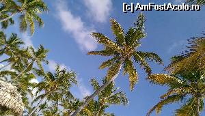 [P20]  -- <small>// FĂRĂ DESCRIERE</small> » foto by lalely
 - 
<span class="allrVoted glyphicon glyphicon-heart hidden" id="av514400"></span>
<a class="m-l-10 hidden" id="sv514400" onclick="voting_Foto_DelVot(,514400,5988)" role="button">șterge vot <span class="glyphicon glyphicon-remove"></span></a>
<a id="v9514400" class=" c-red"  onclick="voting_Foto_SetVot(514400)" role="button"><span class="glyphicon glyphicon-heart-empty"></span> <b>LIKE</b> = Votează poza</a> <img class="hidden"  id="f514400W9" src="/imagini/loader.gif" border="0" /><span class="AjErrMes hidden" id="e514400ErM"></span>