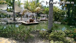 [P21]  -- <small>// FĂRĂ DESCRIERE</small> » foto by lalely
 - 
<span class="allrVoted glyphicon glyphicon-heart hidden" id="av514401"></span>
<a class="m-l-10 hidden" id="sv514401" onclick="voting_Foto_DelVot(,514401,5988)" role="button">șterge vot <span class="glyphicon glyphicon-remove"></span></a>
<a id="v9514401" class=" c-red"  onclick="voting_Foto_SetVot(514401)" role="button"><span class="glyphicon glyphicon-heart-empty"></span> <b>LIKE</b> = Votează poza</a> <img class="hidden"  id="f514401W9" src="/imagini/loader.gif" border="0" /><span class="AjErrMes hidden" id="e514401ErM"></span>