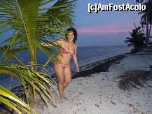 [P11] primul apus de soare in punta cana,splendoare in paradis. » foto by adri-nico
 - 
<span class="allrVoted glyphicon glyphicon-heart hidden" id="av266670"></span>
<a class="m-l-10 hidden" id="sv266670" onclick="voting_Foto_DelVot(,266670,5988)" role="button">șterge vot <span class="glyphicon glyphicon-remove"></span></a>
<a id="v9266670" class=" c-red"  onclick="voting_Foto_SetVot(266670)" role="button"><span class="glyphicon glyphicon-heart-empty"></span> <b>LIKE</b> = Votează poza</a> <img class="hidden"  id="f266670W9" src="/imagini/loader.gif" border="0" /><span class="AjErrMes hidden" id="e266670ErM"></span>