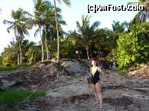 [P21] granita resortului cu 'lumea de dincolo'.colcaiala de gunoaie si resturi vegetale. » foto by adri-nico
 - 
<span class="allrVoted glyphicon glyphicon-heart hidden" id="av266748"></span>
<a class="m-l-10 hidden" id="sv266748" onclick="voting_Foto_DelVot(,266748,5988)" role="button">șterge vot <span class="glyphicon glyphicon-remove"></span></a>
<a id="v9266748" class=" c-red"  onclick="voting_Foto_SetVot(266748)" role="button"><span class="glyphicon glyphicon-heart-empty"></span> <b>LIKE</b> = Votează poza</a> <img class="hidden"  id="f266748W9" src="/imagini/loader.gif" border="0" /><span class="AjErrMes hidden" id="e266748ErM"></span>