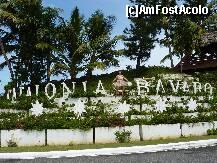 [P25] N-am rezistat tentatiei de a ma cocota pe reclama hotelului,chiar daca pina acolo am avut ceva de lucru cu niste furnici pe care le-am deranjat din somn...si s-au hotarit sa ma muste de picioare pina la singe... » foto by adri-nico
 - 
<span class="allrVoted glyphicon glyphicon-heart hidden" id="av266797"></span>
<a class="m-l-10 hidden" id="sv266797" onclick="voting_Foto_DelVot(,266797,5988)" role="button">șterge vot <span class="glyphicon glyphicon-remove"></span></a>
<a id="v9266797" class=" c-red"  onclick="voting_Foto_SetVot(266797)" role="button"><span class="glyphicon glyphicon-heart-empty"></span> <b>LIKE</b> = Votează poza</a> <img class="hidden"  id="f266797W9" src="/imagini/loader.gif" border="0" /><span class="AjErrMes hidden" id="e266797ErM"></span>