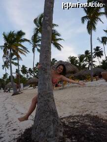 [P08] exchibitii in palmieri,incercind sa focusez privirile asupra mea si nu a algelor de pe plaja » foto by adri-nico
 - 
<span class="allrVoted glyphicon glyphicon-heart hidden" id="av266666"></span>
<a class="m-l-10 hidden" id="sv266666" onclick="voting_Foto_DelVot(,266666,5988)" role="button">șterge vot <span class="glyphicon glyphicon-remove"></span></a>
<a id="v9266666" class=" c-red"  onclick="voting_Foto_SetVot(266666)" role="button"><span class="glyphicon glyphicon-heart-empty"></span> <b>LIKE</b> = Votează poza</a> <img class="hidden"  id="f266666W9" src="/imagini/loader.gif" border="0" /><span class="AjErrMes hidden" id="e266666ErM"></span>