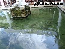 [P17] Pestishorii cazati in elesteu ! » foto by GYL*
 - 
<span class="allrVoted glyphicon glyphicon-heart hidden" id="av317823"></span>
<a class="m-l-10 hidden" id="sv317823" onclick="voting_Foto_DelVot(,317823,5988)" role="button">șterge vot <span class="glyphicon glyphicon-remove"></span></a>
<a id="v9317823" class=" c-red"  onclick="voting_Foto_SetVot(317823)" role="button"><span class="glyphicon glyphicon-heart-empty"></span> <b>LIKE</b> = Votează poza</a> <img class="hidden"  id="f317823W9" src="/imagini/loader.gif" border="0" /><span class="AjErrMes hidden" id="e317823ErM"></span>