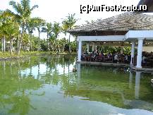 [P18] Cocostarcul dominican, sau ce-o fi ala la vanatoare de peshti ! » foto by GYL*
 - 
<span class="allrVoted glyphicon glyphicon-heart hidden" id="av317824"></span>
<a class="m-l-10 hidden" id="sv317824" onclick="voting_Foto_DelVot(,317824,5988)" role="button">șterge vot <span class="glyphicon glyphicon-remove"></span></a>
<a id="v9317824" class=" c-red"  onclick="voting_Foto_SetVot(317824)" role="button"><span class="glyphicon glyphicon-heart-empty"></span> <b>LIKE</b> = Votează poza</a> <img class="hidden"  id="f317824W9" src="/imagini/loader.gif" border="0" /><span class="AjErrMes hidden" id="e317824ErM"></span>