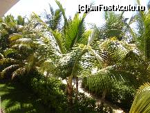 [P23] Vedere din balconul camerei. » foto by GYL*
 - 
<span class="allrVoted glyphicon glyphicon-heart hidden" id="av317829"></span>
<a class="m-l-10 hidden" id="sv317829" onclick="voting_Foto_DelVot(,317829,5988)" role="button">șterge vot <span class="glyphicon glyphicon-remove"></span></a>
<a id="v9317829" class=" c-red"  onclick="voting_Foto_SetVot(317829)" role="button"><span class="glyphicon glyphicon-heart-empty"></span> <b>LIKE</b> = Votează poza</a> <img class="hidden"  id="f317829W9" src="/imagini/loader.gif" border="0" /><span class="AjErrMes hidden" id="e317829ErM"></span>