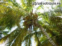 [P25] Alte nuci. » foto by GYL*
 - 
<span class="allrVoted glyphicon glyphicon-heart hidden" id="av317831"></span>
<a class="m-l-10 hidden" id="sv317831" onclick="voting_Foto_DelVot(,317831,5988)" role="button">șterge vot <span class="glyphicon glyphicon-remove"></span></a>
<a id="v9317831" class=" c-red"  onclick="voting_Foto_SetVot(317831)" role="button"><span class="glyphicon glyphicon-heart-empty"></span> <b>LIKE</b> = Votează poza</a> <img class="hidden"  id="f317831W9" src="/imagini/loader.gif" border="0" /><span class="AjErrMes hidden" id="e317831ErM"></span>