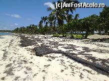 [P31] Plaja virgina dintre resort si sat. » foto by GYL*
 - 
<span class="allrVoted glyphicon glyphicon-heart hidden" id="av317837"></span>
<a class="m-l-10 hidden" id="sv317837" onclick="voting_Foto_DelVot(,317837,5988)" role="button">șterge vot <span class="glyphicon glyphicon-remove"></span></a>
<a id="v9317837" class=" c-red"  onclick="voting_Foto_SetVot(317837)" role="button"><span class="glyphicon glyphicon-heart-empty"></span> <b>LIKE</b> = Votează poza</a> <img class="hidden"  id="f317837W9" src="/imagini/loader.gif" border="0" /><span class="AjErrMes hidden" id="e317837ErM"></span>