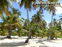 [P32] Idem anterioara. » foto by GYL*
 - 
<span class="allrVoted glyphicon glyphicon-heart hidden" id="av317838"></span>
<a class="m-l-10 hidden" id="sv317838" onclick="voting_Foto_DelVot(,317838,5988)" role="button">șterge vot <span class="glyphicon glyphicon-remove"></span></a>
<a id="v9317838" class=" c-red"  onclick="voting_Foto_SetVot(317838)" role="button"><span class="glyphicon glyphicon-heart-empty"></span> <b>LIKE</b> = Votează poza</a> <img class="hidden"  id="f317838W9" src="/imagini/loader.gif" border="0" /><span class="AjErrMes hidden" id="e317838ErM"></span>