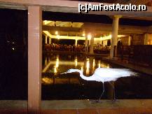 [P34] Animala pe inserat. » foto by GYL*
 - 
<span class="allrVoted glyphicon glyphicon-heart hidden" id="av317840"></span>
<a class="m-l-10 hidden" id="sv317840" onclick="voting_Foto_DelVot(,317840,5988)" role="button">șterge vot <span class="glyphicon glyphicon-remove"></span></a>
<a id="v9317840" class=" c-red"  onclick="voting_Foto_SetVot(317840)" role="button"><span class="glyphicon glyphicon-heart-empty"></span> <b>LIKE</b> = Votează poza</a> <img class="hidden"  id="f317840W9" src="/imagini/loader.gif" border="0" /><span class="AjErrMes hidden" id="e317840ErM"></span>