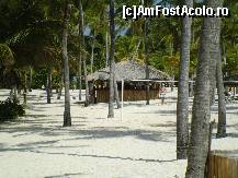 [P36] Beach bar-ul de pe plaja. » foto by GYL*
 - 
<span class="allrVoted glyphicon glyphicon-heart hidden" id="av317842"></span>
<a class="m-l-10 hidden" id="sv317842" onclick="voting_Foto_DelVot(,317842,5988)" role="button">șterge vot <span class="glyphicon glyphicon-remove"></span></a>
<a id="v9317842" class=" c-red"  onclick="voting_Foto_SetVot(317842)" role="button"><span class="glyphicon glyphicon-heart-empty"></span> <b>LIKE</b> = Votează poza</a> <img class="hidden"  id="f317842W9" src="/imagini/loader.gif" border="0" /><span class="AjErrMes hidden" id="e317842ErM"></span>