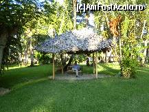 [P37] La foisor. » foto by GYL*
 - 
<span class="allrVoted glyphicon glyphicon-heart hidden" id="av317843"></span>
<a class="m-l-10 hidden" id="sv317843" onclick="voting_Foto_DelVot(,317843,5988)" role="button">șterge vot <span class="glyphicon glyphicon-remove"></span></a>
<a id="v9317843" class=" c-red"  onclick="voting_Foto_SetVot(317843)" role="button"><span class="glyphicon glyphicon-heart-empty"></span> <b>LIKE</b> = Votează poza</a> <img class="hidden"  id="f317843W9" src="/imagini/loader.gif" border="0" /><span class="AjErrMes hidden" id="e317843ErM"></span>