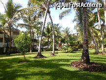 [P44] Alta vedere asupra gradinilor inconjuratoare. » foto by GYL*
 - 
<span class="allrVoted glyphicon glyphicon-heart hidden" id="av317946"></span>
<a class="m-l-10 hidden" id="sv317946" onclick="voting_Foto_DelVot(,317946,5988)" role="button">șterge vot <span class="glyphicon glyphicon-remove"></span></a>
<a id="v9317946" class=" c-red"  onclick="voting_Foto_SetVot(317946)" role="button"><span class="glyphicon glyphicon-heart-empty"></span> <b>LIKE</b> = Votează poza</a> <img class="hidden"  id="f317946W9" src="/imagini/loader.gif" border="0" /><span class="AjErrMes hidden" id="e317946ErM"></span>