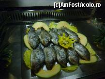 [P53] Il alegi si zdup pe gratar. » foto by GYL*
 - 
<span class="allrVoted glyphicon glyphicon-heart hidden" id="av317955"></span>
<a class="m-l-10 hidden" id="sv317955" onclick="voting_Foto_DelVot(,317955,5988)" role="button">șterge vot <span class="glyphicon glyphicon-remove"></span></a>
<a id="v9317955" class=" c-red"  onclick="voting_Foto_SetVot(317955)" role="button"><span class="glyphicon glyphicon-heart-empty"></span> <b>LIKE</b> = Votează poza</a> <img class="hidden"  id="f317955W9" src="/imagini/loader.gif" border="0" /><span class="AjErrMes hidden" id="e317955ErM"></span>