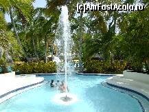 [P57] Pe la piscina. » foto by GYL*
 - 
<span class="allrVoted glyphicon glyphicon-heart hidden" id="av317959"></span>
<a class="m-l-10 hidden" id="sv317959" onclick="voting_Foto_DelVot(,317959,5988)" role="button">șterge vot <span class="glyphicon glyphicon-remove"></span></a>
<a id="v9317959" class=" c-red"  onclick="voting_Foto_SetVot(317959)" role="button"><span class="glyphicon glyphicon-heart-empty"></span> <b>LIKE</b> = Votează poza</a> <img class="hidden"  id="f317959W9" src="/imagini/loader.gif" border="0" /><span class="AjErrMes hidden" id="e317959ErM"></span>