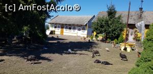 [P15] Anexele gospodărești. » foto by pete_si_elenik
 - 
<span class="allrVoted glyphicon glyphicon-heart hidden" id="av1192469"></span>
<a class="m-l-10 hidden" id="sv1192469" onclick="voting_Foto_DelVot(,1192469,5995)" role="button">șterge vot <span class="glyphicon glyphicon-remove"></span></a>
<a id="v91192469" class=" c-red"  onclick="voting_Foto_SetVot(1192469)" role="button"><span class="glyphicon glyphicon-heart-empty"></span> <b>LIKE</b> = Votează poza</a> <img class="hidden"  id="f1192469W9" src="/imagini/loader.gif" border="0" /><span class="AjErrMes hidden" id="e1192469ErM"></span>