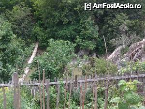 [P04] Poza din Poiana cu Rugi (asa se numeste zona aflata intre cele doua râuri Bâsca).  » foto by F2A1C
 - 
<span class="allrVoted glyphicon glyphicon-heart hidden" id="av476636"></span>
<a class="m-l-10 hidden" id="sv476636" onclick="voting_Foto_DelVot(,476636,5997)" role="button">șterge vot <span class="glyphicon glyphicon-remove"></span></a>
<a id="v9476636" class=" c-red"  onclick="voting_Foto_SetVot(476636)" role="button"><span class="glyphicon glyphicon-heart-empty"></span> <b>LIKE</b> = Votează poza</a> <img class="hidden"  id="f476636W9" src="/imagini/loader.gif" border="0" /><span class="AjErrMes hidden" id="e476636ErM"></span>