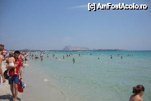 [P23] La Cinta-San Teodoro » foto by chucky31*
 - 
<span class="allrVoted glyphicon glyphicon-heart hidden" id="av440491"></span>
<a class="m-l-10 hidden" id="sv440491" onclick="voting_Foto_DelVot(,440491,6010)" role="button">șterge vot <span class="glyphicon glyphicon-remove"></span></a>
<a id="v9440491" class=" c-red"  onclick="voting_Foto_SetVot(440491)" role="button"><span class="glyphicon glyphicon-heart-empty"></span> <b>LIKE</b> = Votează poza</a> <img class="hidden"  id="f440491W9" src="/imagini/loader.gif" border="0" /><span class="AjErrMes hidden" id="e440491ErM"></span>